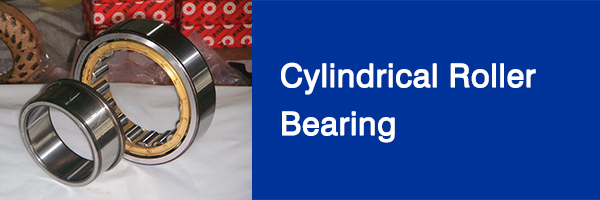 Home-Cylindrical-roller-bearing