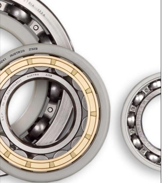 Electrically insulated bearings for electric motors China Bearing